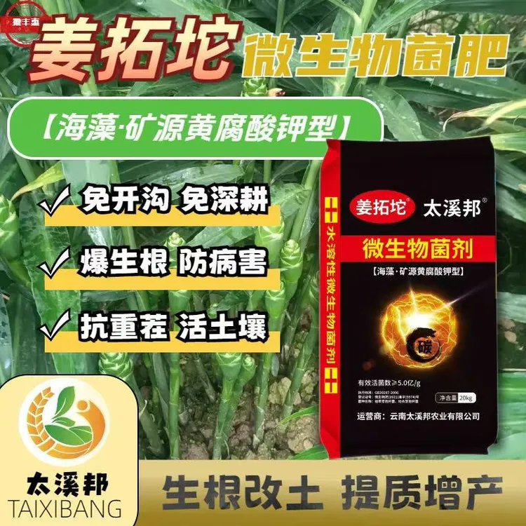 姜拓坨生物菌肥生姜底肥追肥微生物菌剂增产生长