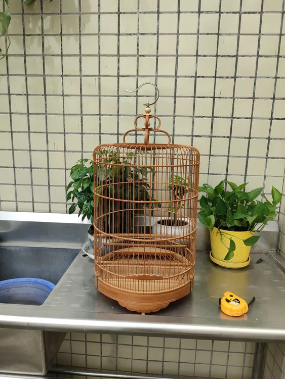 特高活底60/64枝27.5/29.5广笼素笼底网站台黑白石燕仙鹟歌鸲素笼