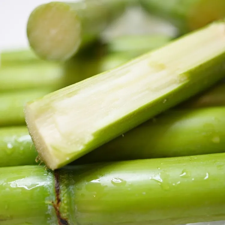 陶山甘蔗青绿皮果蔗应季新鲜水果口感脆甜