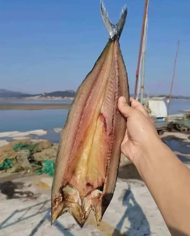 青岛特产甜晒一卤鲜鲅鱼片
