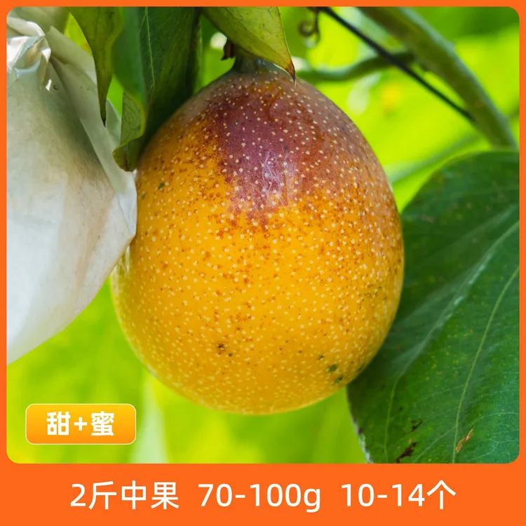 辰颐物语 云南热情果