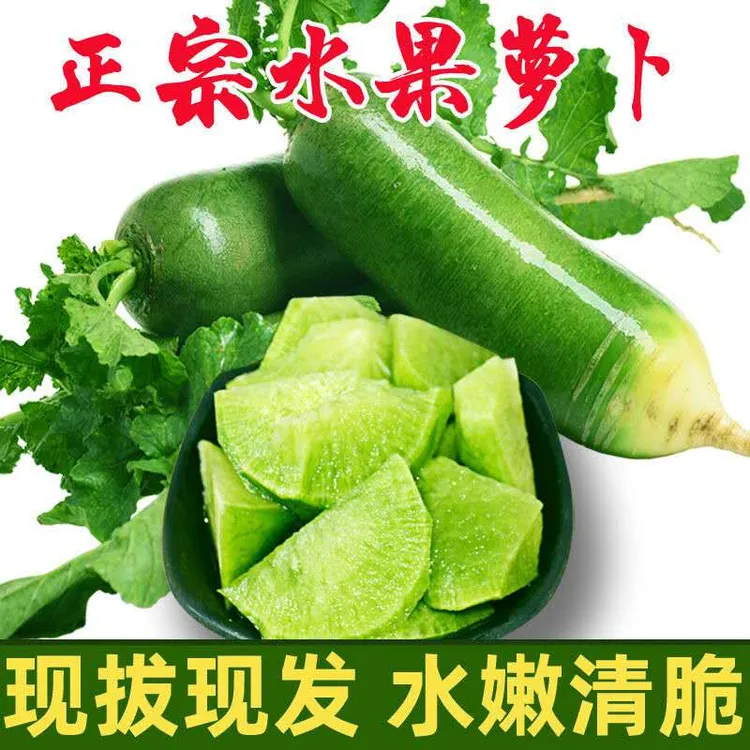 【现拔现发】潍坊水果萝卜正宗发脆嫩多汁清甜微辣绿萝卜沙窝萝卜