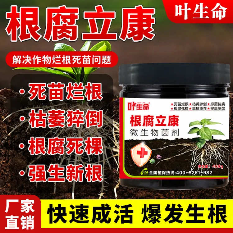 根腐病害专用生物菌剂根腐克星改善土壤防治根部病害促进根系旺长