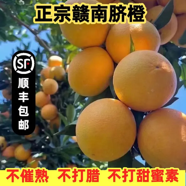 正宗赣南脐橙江西橙新鲜采摘产地直发橙香味浓郁皮薄10斤国光苹果