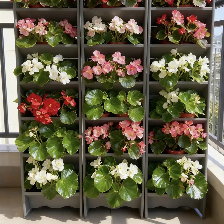 15个落地立体植物墙花盆结实稳固耐用多层垂直花架草莓种植神器