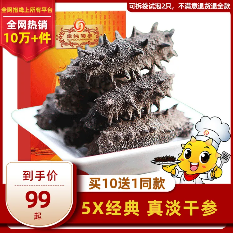 皇纯5X经典真淡干海参5-8只 50g 刺参海参干货水产海鲜非礼盒即食