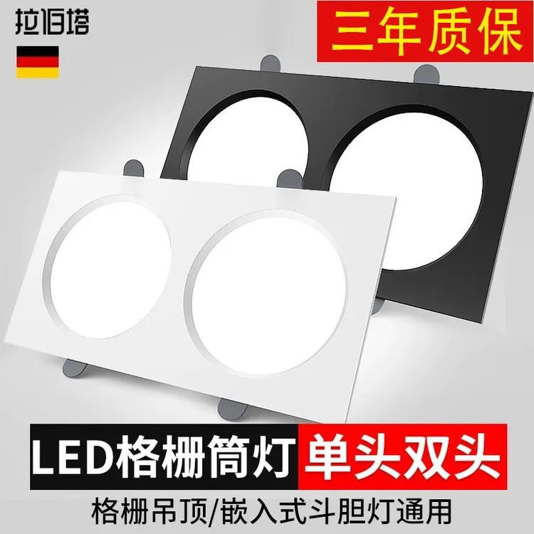 双头筒灯led嵌入式斗胆灯超薄长方形简灯格栅灯客厅过道天花射灯