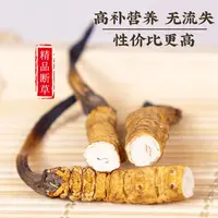 鲜冬虫夏草  2025年新鲜冬虫夏草  断草