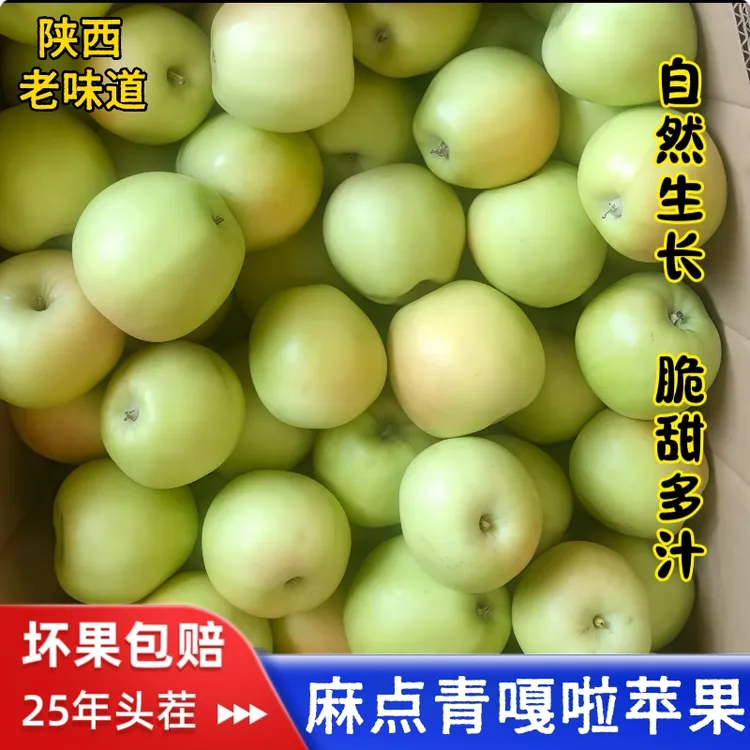 2025头茬陕西嘎啦苹果青苹果薄皮多汁脆粉两吃现摘现发新鲜水果