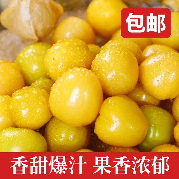 黑龙江头茬姑娘果大果灯笼果新鲜香甜水果d
