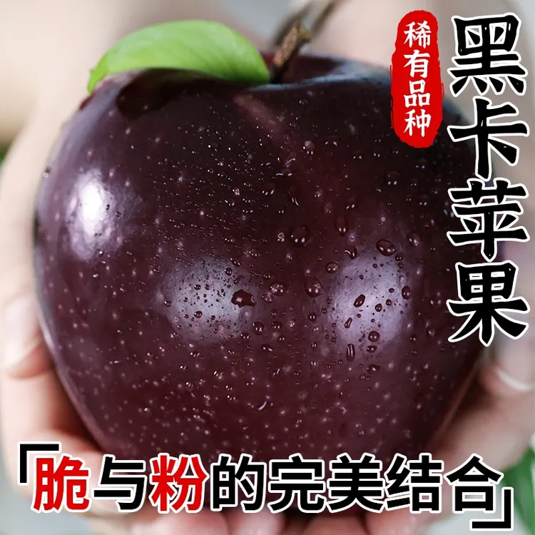 顺丰  甘肃黑卡苹果正宗黑钻苹果当季新鲜水果纯甜冰糖心脆面包邮