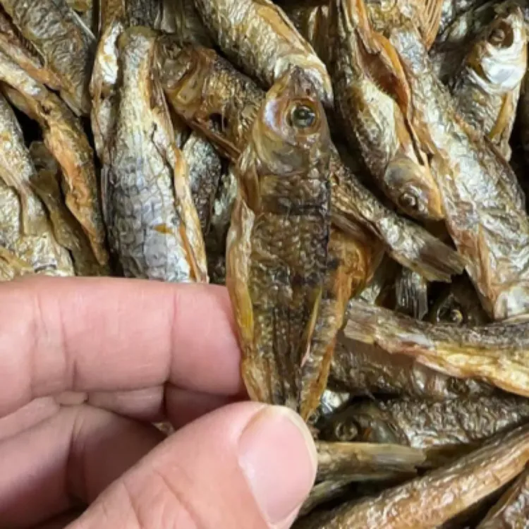 【蛟哥土特产】永嘉楠溪江溪鱼干