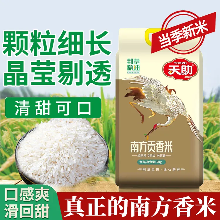 天助南方贡香米5KG真空包装当季新米长粒香米天助南方贡香米400g