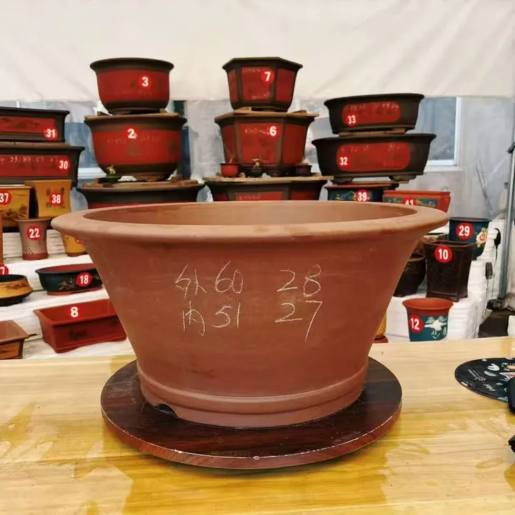 紫砂加厚60斗笠碗盆花卉绿植飘枝老桩盆景造型紫砂花盆（工厂直发）