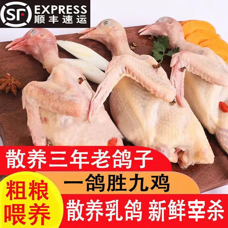鸽子肉新鲜乳鸽生鲜农家散养土鸽子活体现杀三年老鸽子五年老鸽子