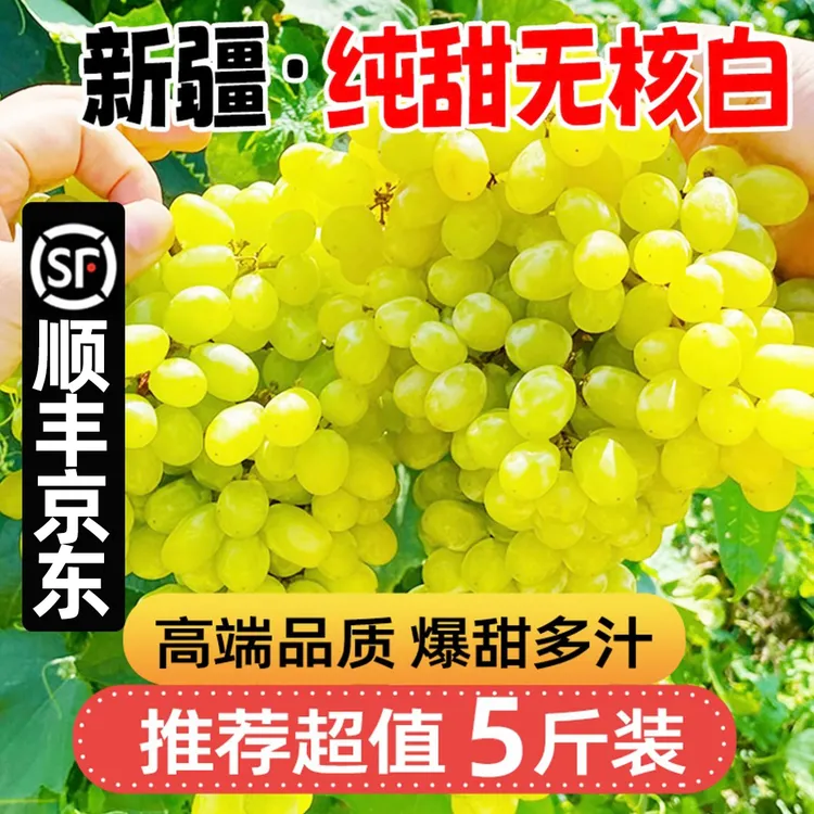 【顺丰/JD】吐鲁番核心产区无核白葡萄新鲜新摘应季无籽水果