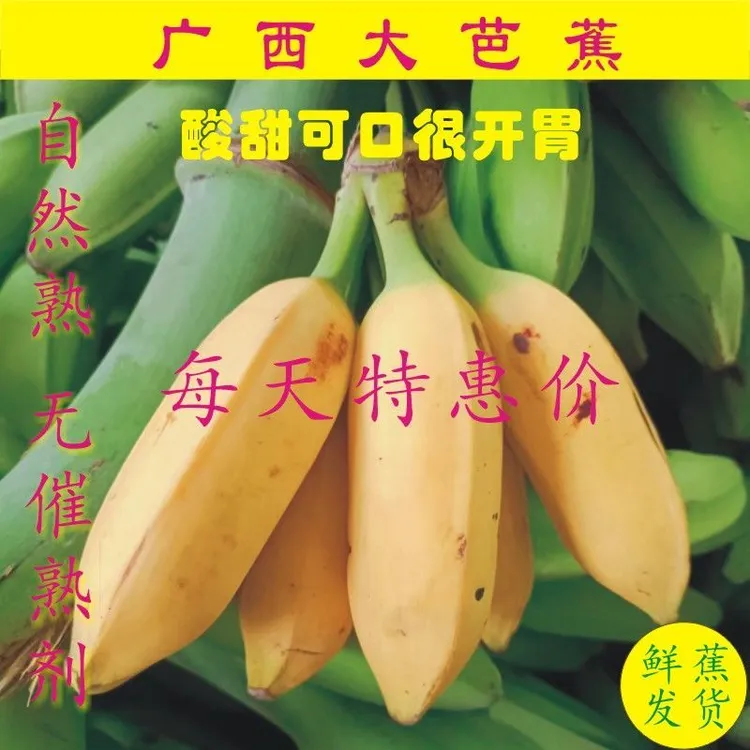 广西大芭蕉牛角蕉新鲜香蕉新鲜水果现采现发
