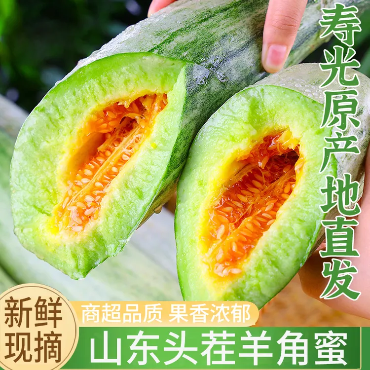 山东羊角蜜头茬甜瓜脆甜多汁新鲜应季水果香瓜潍坊直发羊角脆