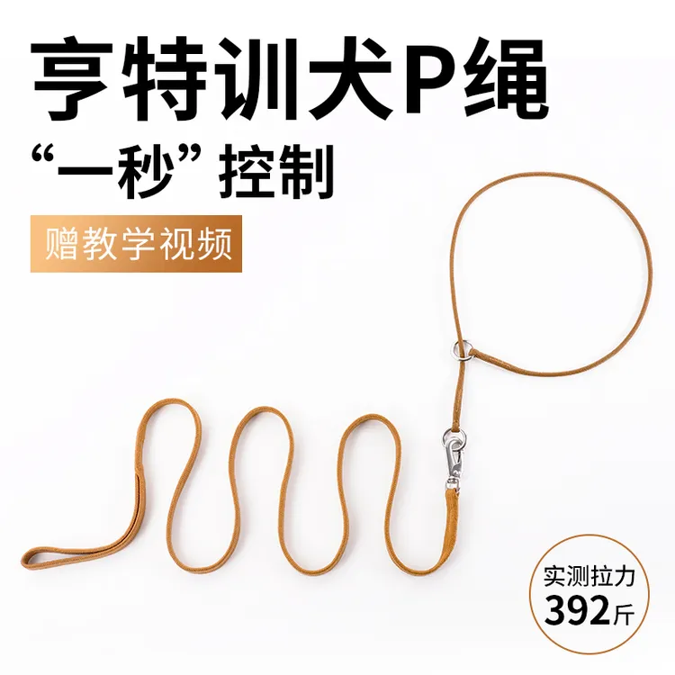 全犬种通用牵引绳日常遛狗训练随行纠正爆冲小中大型