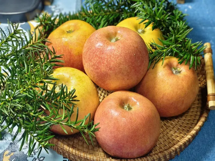 苹果新宠贵妃苹果，香甜多汁，独特口感