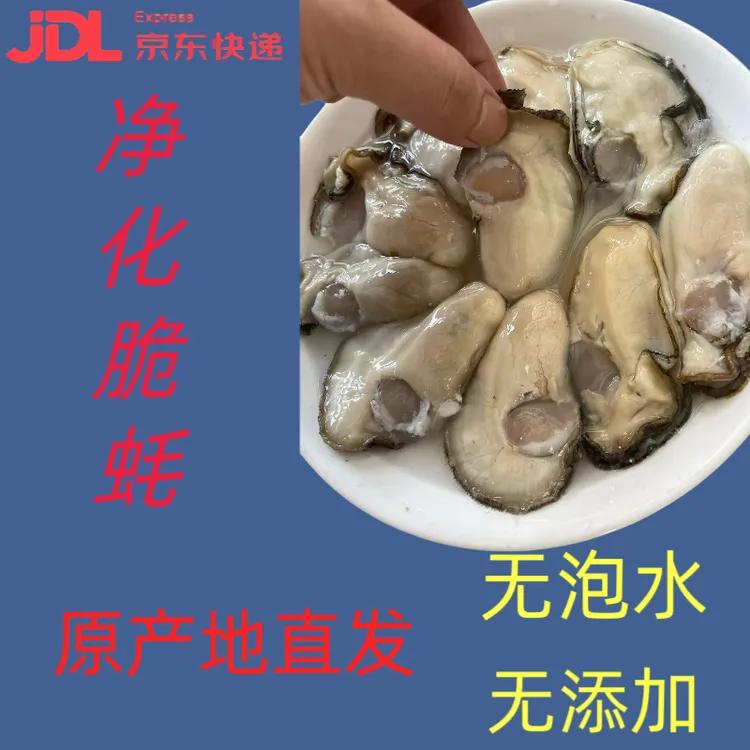 净化鲜活生蚝 现剥三倍体脆蚝 无沙无泥个大肥满 1斤=500g含原浆