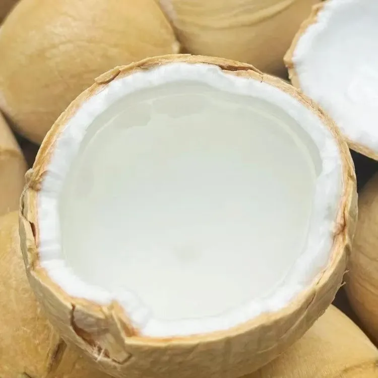 椰皇6个装 泰国大果牛奶椰皇单果500-720g 新鲜水果椰皇 椰子奶椰