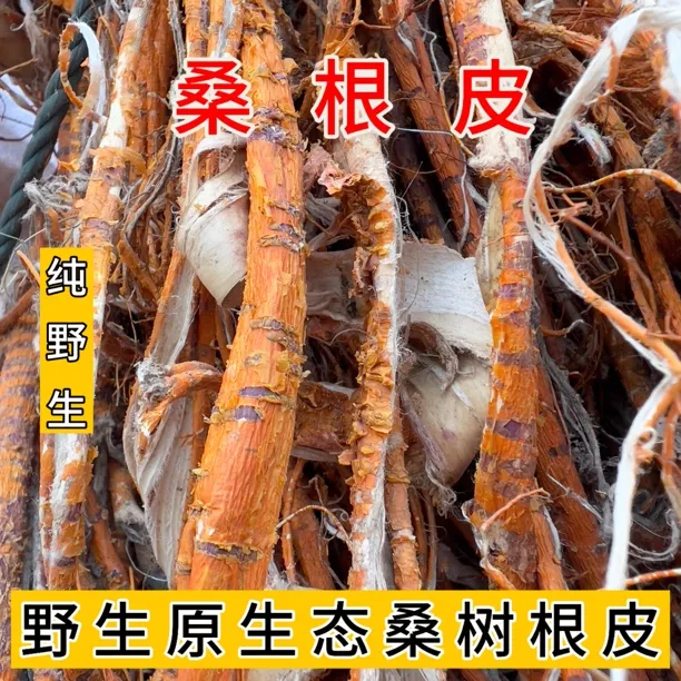 桑根皮桑白皮老桑树根皮老桑皮洗头发防脱中药野生天然晒干桑白皮