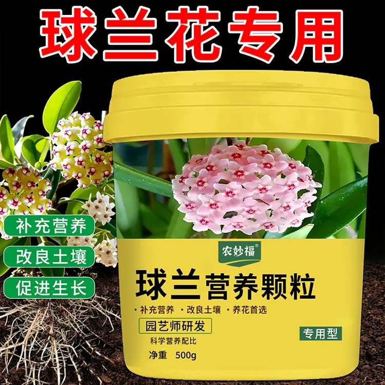 球兰专用营养颗粒有机肥料球兰花肥心叶球兰园艺肥料花卉绿植通用