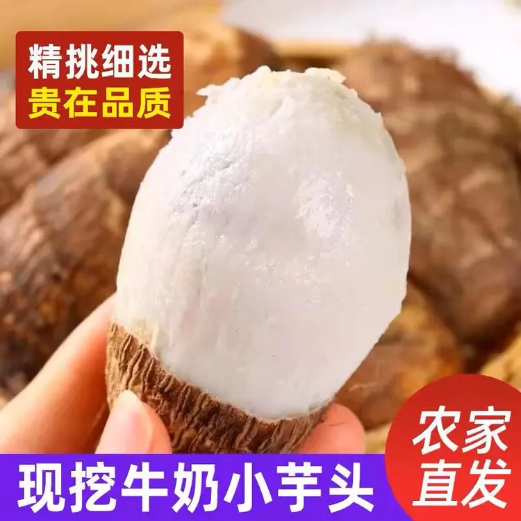 云南高山牛奶小芋头现挖现发软糯香甜应季香芋芋艿当季新鲜小芋头