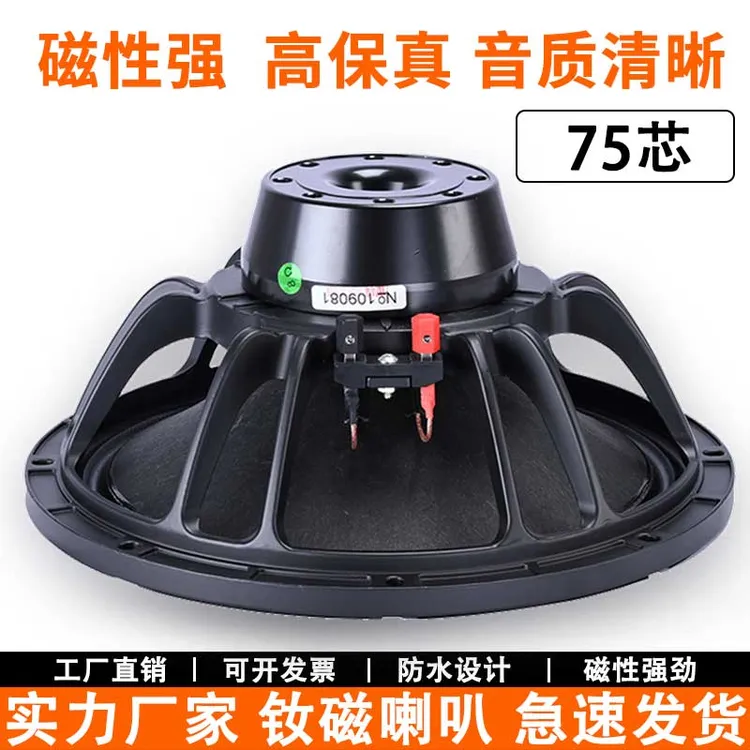 15寸/18寸低音喇叭大功率220磁进口纸盘专业超重低音户外舞台喇叭