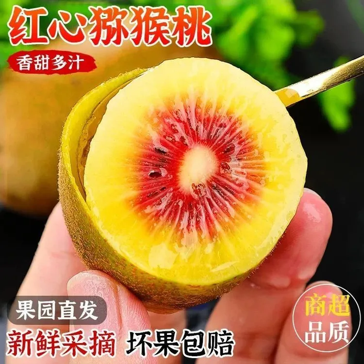 【彩箱发货】正宗四川蒲江红心猕猴桃新鲜应季奇异果香甜多汁水果