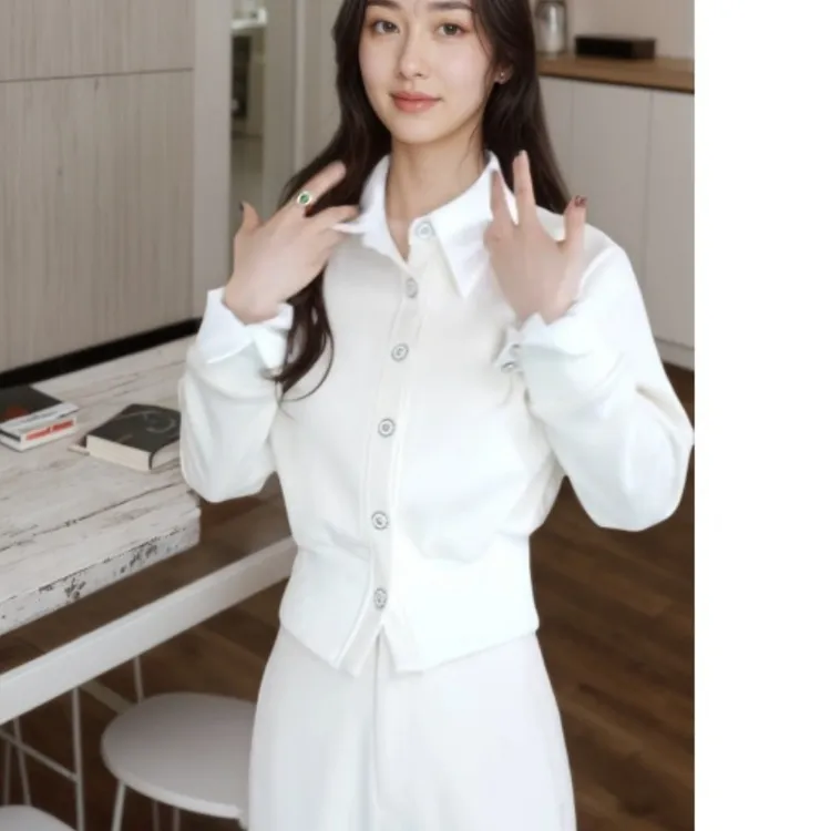 【书单】2025秋冬新款撞色双面磨毛收腰气质弹力衬衫LK2508157
