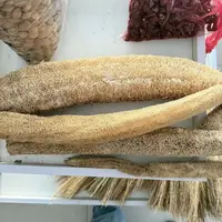 【张大庆专属】丝瓜瓤