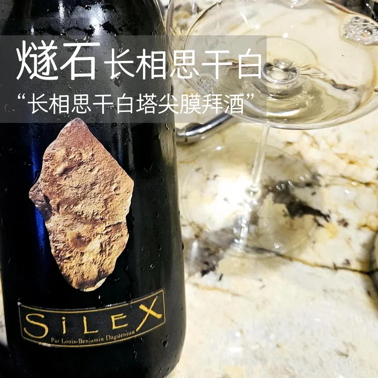 燧石Silex，巨受欢迎长相思