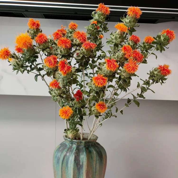 ［空运包邮］60-90厘米橙菠萝干花云南鲜花基地直发