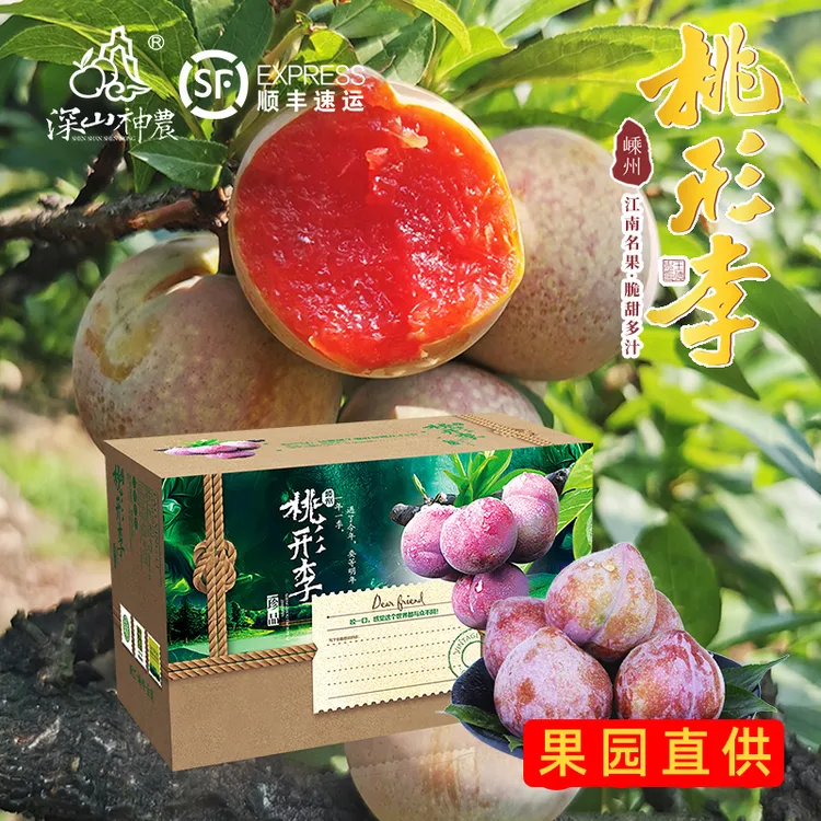 深山神農嵊州桃形李金庭镇产地直发爽甜多汁桃形李子达人专属