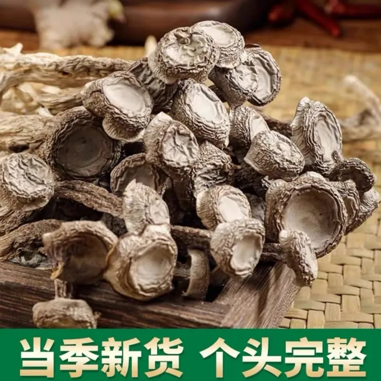 古田特产高山台风家常菜菌菇鹿茸干货无硫炒菜鲜香菌菇干货大爷