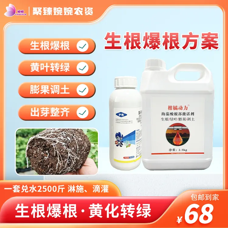 生根转绿方案泡叶藻水溶肥料生根爆根松土绿叶膨果提苗柑橘农用肥