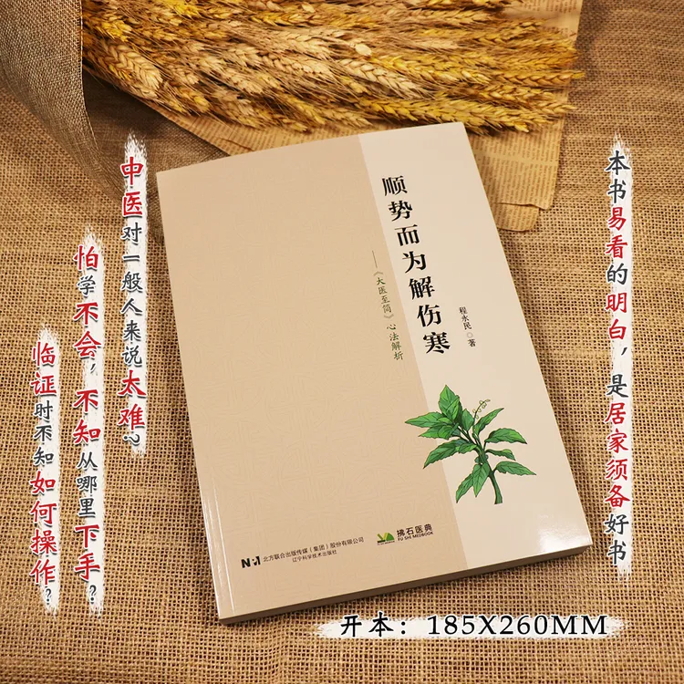 【天地合】顺势而为解伤寒大医至简心法解析 讲解伤寒论传承