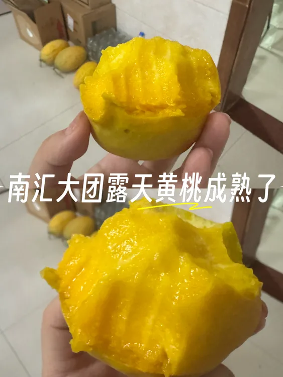 南汇露天黄桃新鲜应季香甜多汁口感脆甜8/12个装