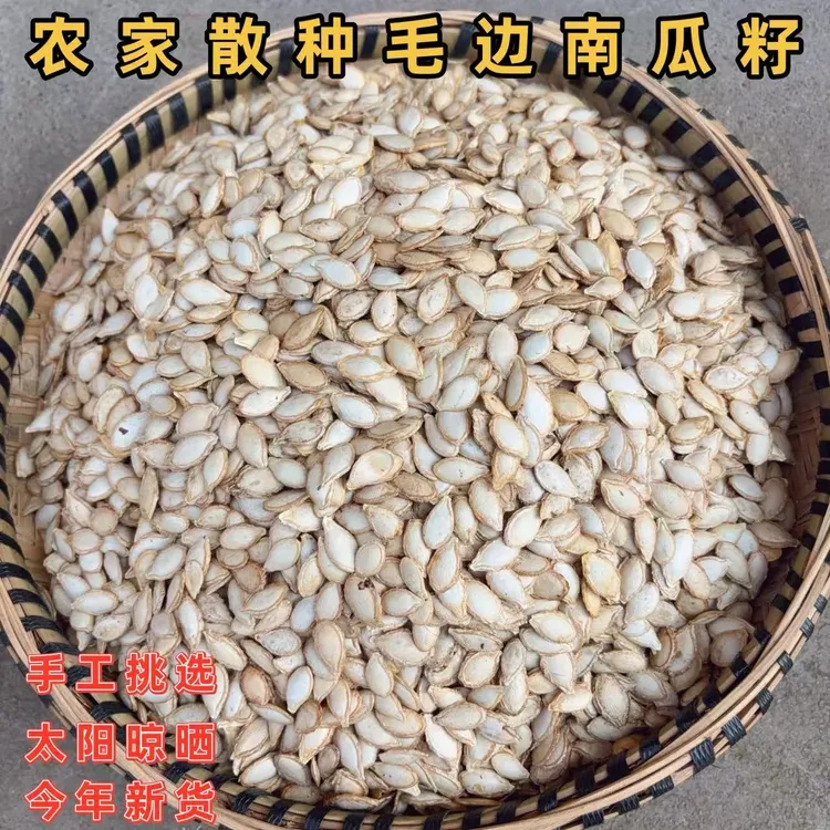 贵州老南瓜籽农家自种老品种自然晒干原味带壳毛边生南瓜籽