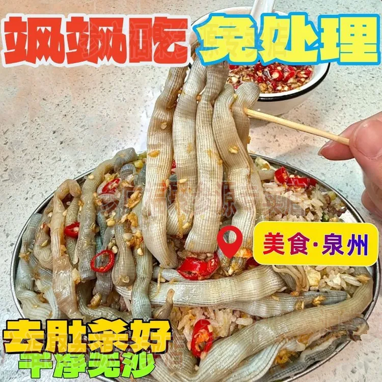 新鲜沙虫冷冻沿海滩涂现挖日常清蒸白灼炒煲汤营养美味小吃非干货