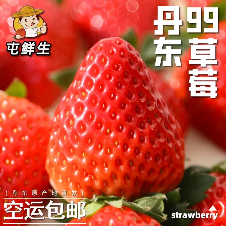 屯鲜生 | 红颜99牛奶大草莓1.5-2.5斤丹东包邮