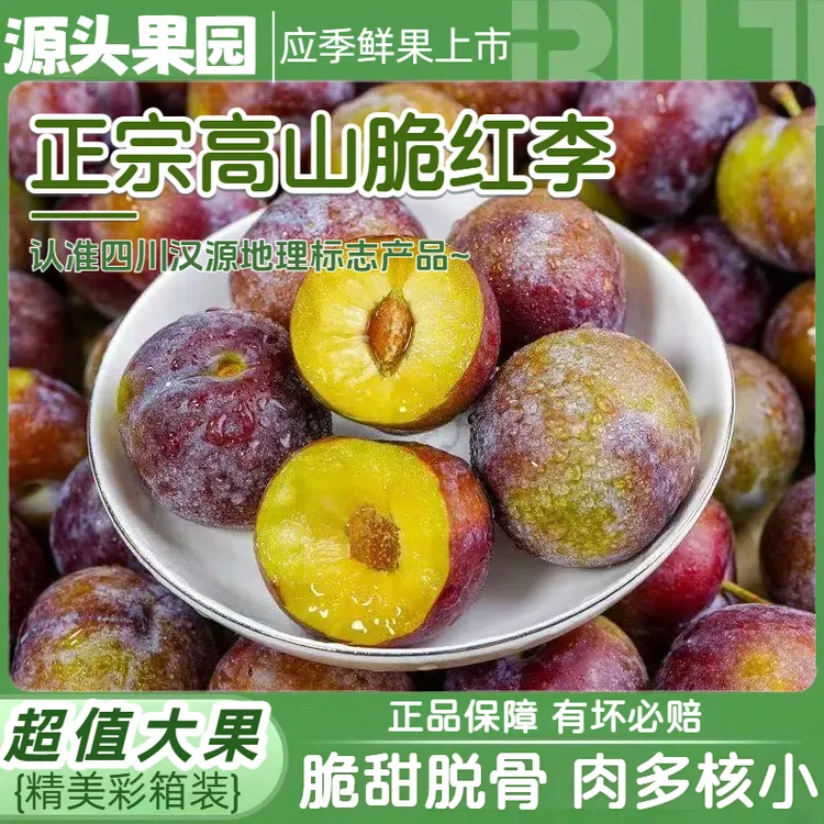 正宗四川脆红脱骨李新鲜应季水果脆甜多汁小脆红-现摘现发