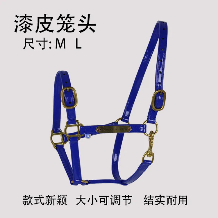 老款漆皮笼头漆皮材质耐磨马笼头可调节牵马术用品马龙头