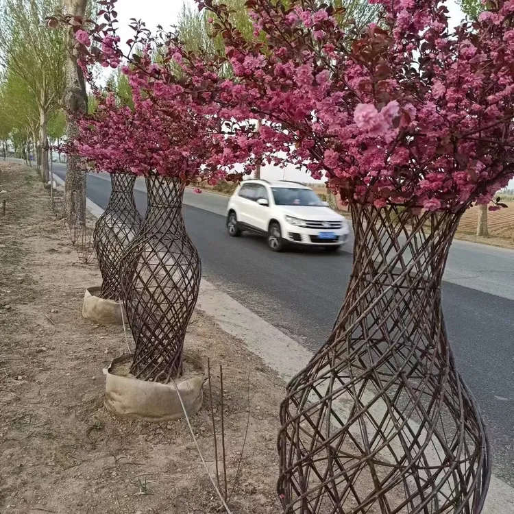 花开富贵，紫气东来 造景花瓶庭院别墅花园绿化植物公园造型景观