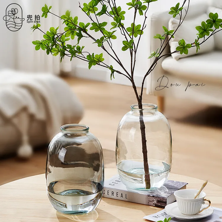 轻奢高级感大肚玻璃花瓶水培插花客厅卧室装饰摆件大号高级感摆件