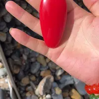 圆润饱满无瑕疵的