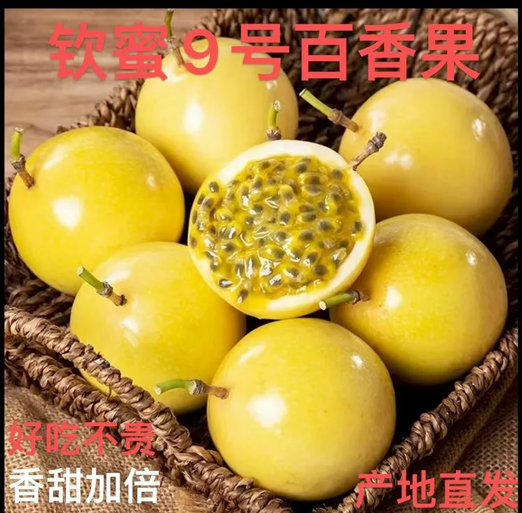 正宗钦蜜9号黄金百香果鲜甜多汁当季新鲜钦蜜九号黄金百香果