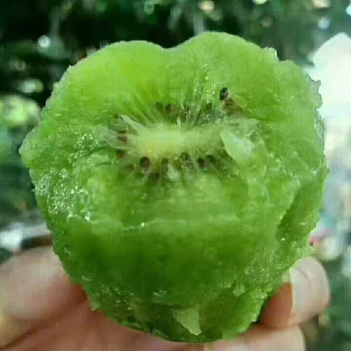 安丘大盛特产，碧玉奇异果，香甜多汁！放软食用口感更好。